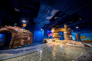 淮安龍宮大白鯨極地海洋館試營業
