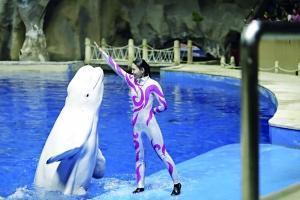 守護藍色海洋 從點滴行動開始