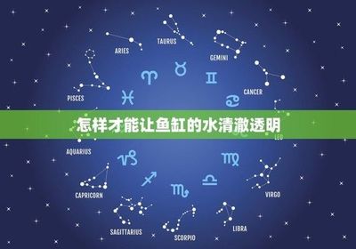天津市東麗區秀利通觀賞魚水族館(天津市東麗區秀利通觀賞魚水族館經營產品:觀賞魚、水族箱零售)