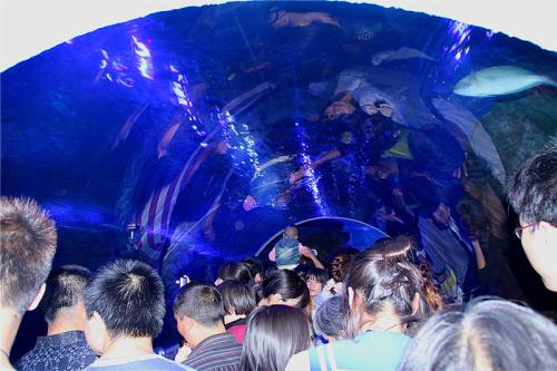 西安曲江海洋館營業時間
