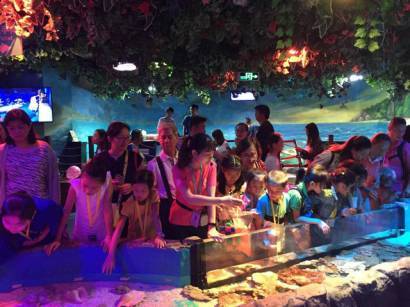 水母怎樣繁殖 海洋館后場怎么運作 海洋學堂帶你一起,探索深海的秘密