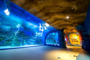 大連圣亞 第五代海洋公園 淮安龍宮大白鯨極地海洋館試營業