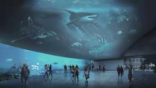 將建全球最大的 青藍洞 小梅沙海洋世界海洋館封頂,預計2024年營業