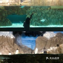 電話,地址,價格,營業時間 雙流區周邊游