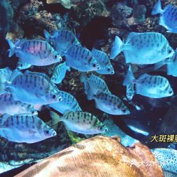 電話,地址,價格,營業時間 圖 北京周邊游