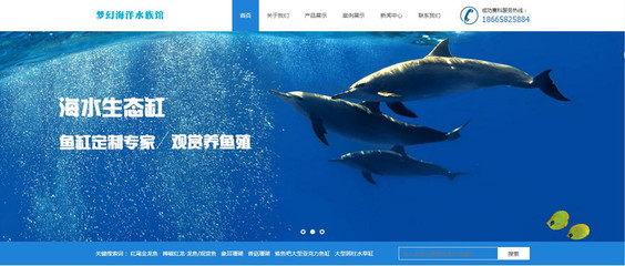 成功與深圳市南山區夢幻海洋水族館達成網站建設項目