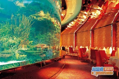 樂百佳水族館_樂百佳水族館_創業首選!