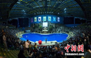 天恒創(chuàng)新房地產(chǎn)營銷模式 不用售樓處就能賣房子