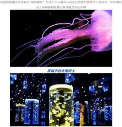 坑 吾悅廣場海洋館還不如花鳥市場 官方 已責令其暫停營業(yè)