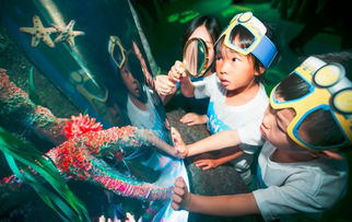定了 沈陽人自己的海洋館將在這天開業 優惠早鳥票銷售倒計時