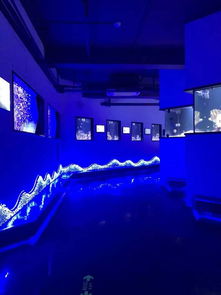 暑期親子游又添新地標,全國首家珊瑚礁精品海洋館落戶廈門啦