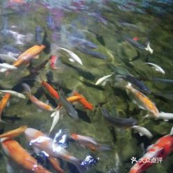 電話 地址 價格 營業時間 沙扒鎮動植物園團購 陽西縣周邊游