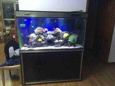 臨泉縣夢景水族館(臨泉縣夢景水族館經營產品:魚缸、水族器械、觀賞魚、水族配件零售)
