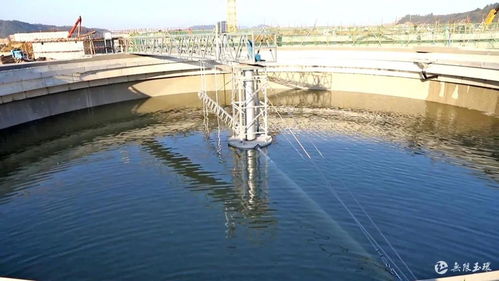 點贊 臺州兩地上榜省級生態文明建設示范市縣
