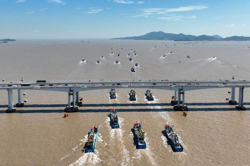 日本斷了我的財(cái)路 ,核污染水陰影下百萬(wàn)中國(guó)漁民何去何從