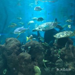 電話,地址,價(jià)格,營(yíng)業(yè)時(shí)間 鄭州周邊游