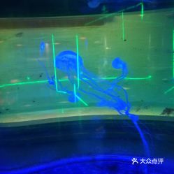 電話,地址,價(jià)格,營(yíng)業(yè)時(shí)間 無(wú)錫周邊游