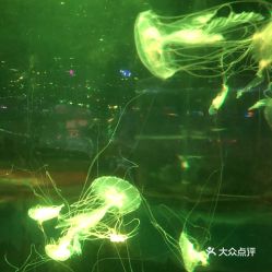 電話,地址,價格,營業時間 西安周邊游