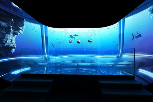 芒果海洋館7月15日試營業 企鵝 海獅 美人魚驚艷亮相