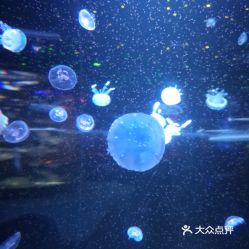電話,地址,價格,營業時間 西安周邊游