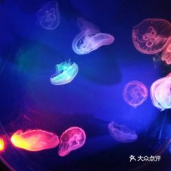 電話,地址,價格,營業時間 鄭州周邊游