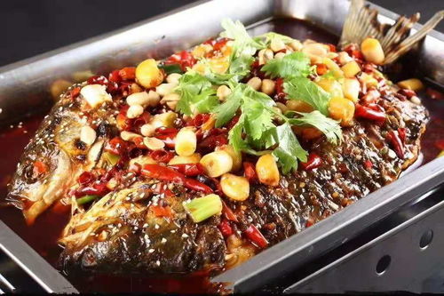 如何打造火爆的烤魚店 匯頭客小份烤魚風口已來 餐飲