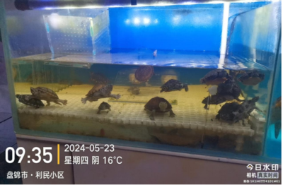 漁政執法大隊開展水生野生動物保護專項執法檢查